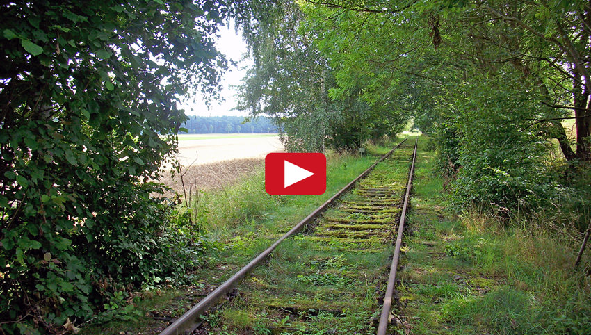 Fahrraddraisinen in Alt Garge